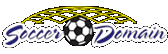 Sports Domain